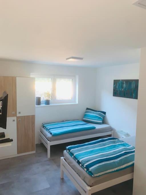 Moderne, Helle Ferienwohnung In Au Am Rhein Esterno foto